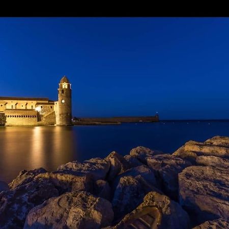 Joli T2 Vue Mer Au Calme. 科利尤尔 外观 照片